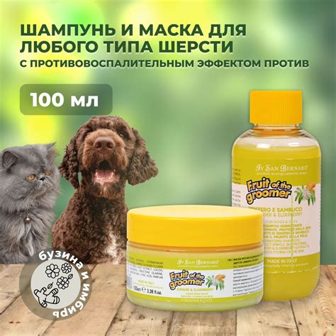 ISB Fruit of the Groomer Ginger&Elderbery Шампунь против раздражений и ...
