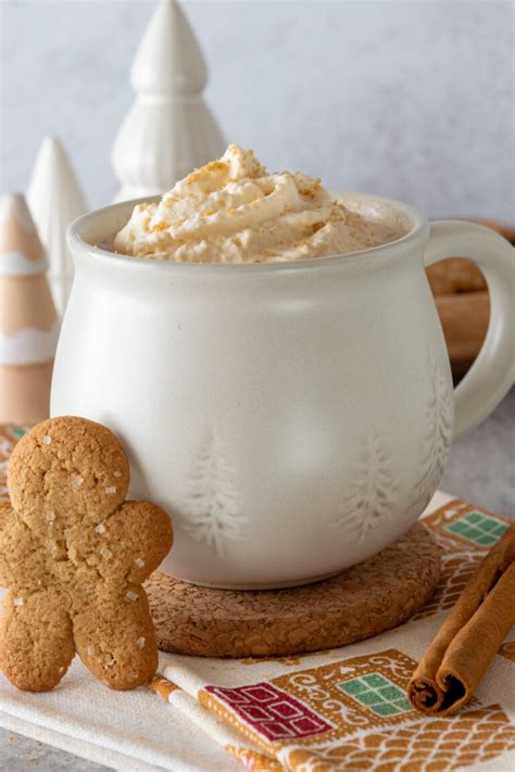 Homemade Gingerbread Hot Chocolate Sweet Steep