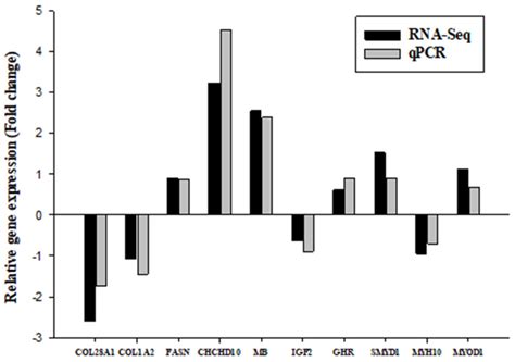 qrt pcr validation   gene expression profiles  relative