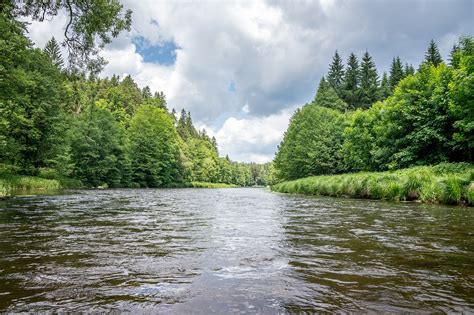 Moldova Flow Vltava Free Photo On Pixabay Pixabay