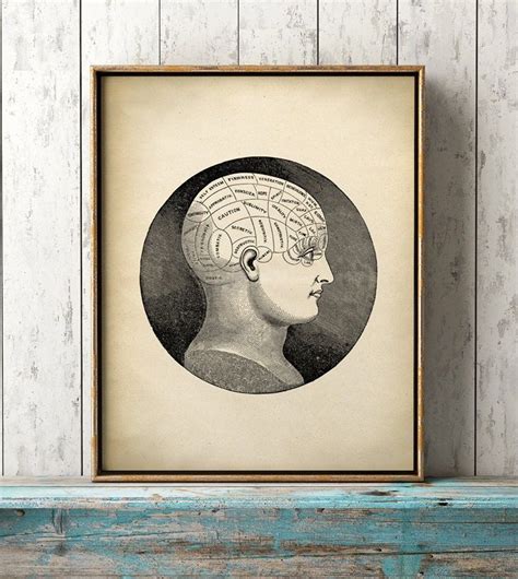 Anatomy Phrenology Print Vintage Phrenology Poster Medical Etsy Art Prints Phrenology