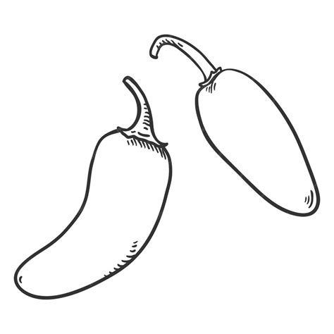 Premium Vector Vector Sketch Jalapeno Pepper