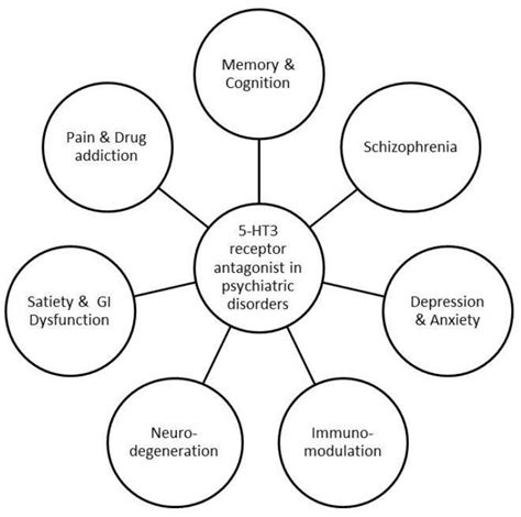 Involvement Of 5 Ht 3 Receptor Antagonists In Various Disorders