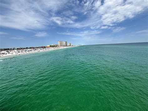 Remembering the Life and Legacy of Sharon Pachal 17