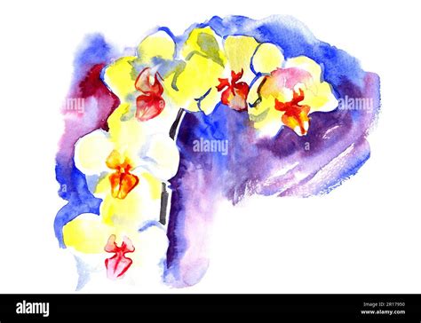Watercolor yellow summer orchid Stock Photo - Alamy
