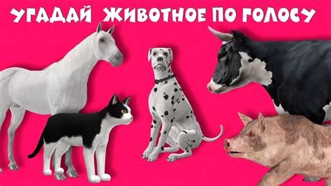 Угадай животное по голосу Звуки животных Как говорят животные - YouTube