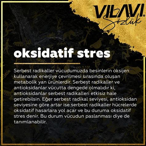 Vilavi Türkiye - VILAVI T8 Stone içerdiği doğal ve özel... | Facebook