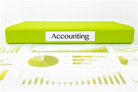 Document Accounting Statistics Report Vector Accounting Statistics