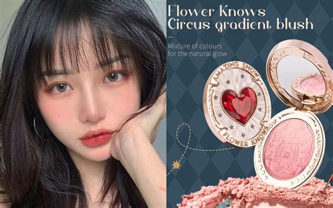 Deal Hot Tin T C M I Nh T M Ph M N I A Trung Ng Lo T Gi M Gi M Nh Ch Em Nhanh Tay Ch T