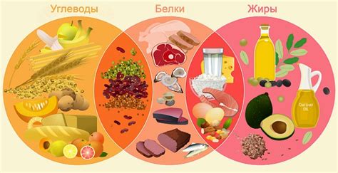 Что Такое Нутрицевтики Где Взять