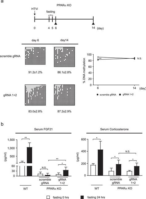 Targeted Dna Demethylation Of The Fgf Promoter Induced By The