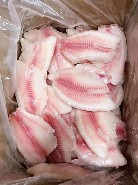 Tilapia Fillet Frozen Iqf Fish Seafood Frozen Tilapia Fillet China