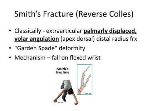 Smith Fracture Garden Spade