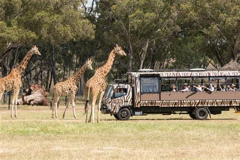 Tripadvisor Taronga Western Plains Zoo General Entry Ticket New