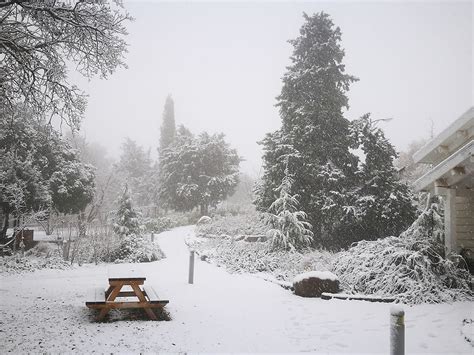 Видео: сильный снегопад на севере Израиля, дороги замело