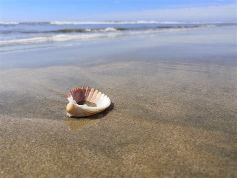 Ranking De Las Mejores Playas De Am Rica Latina Con Criterios Cient Ficos M Xico Tiene Dos
