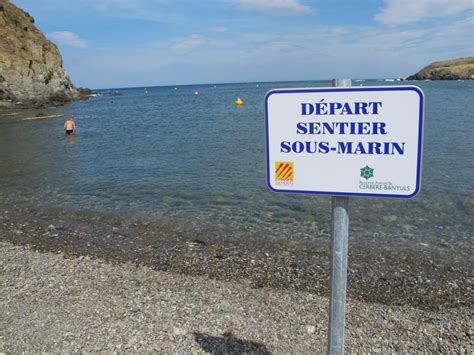 La Réserve Naturelle Marine de Cerbère Banyuls Département 66