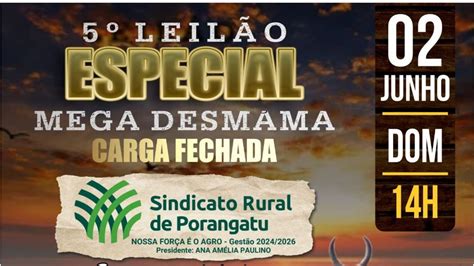 LEILÃO ESPECIAL MEGA DESMAMA CARGA FECHADA 02 06 2024 YouTube