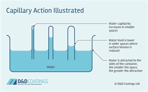 capillary action