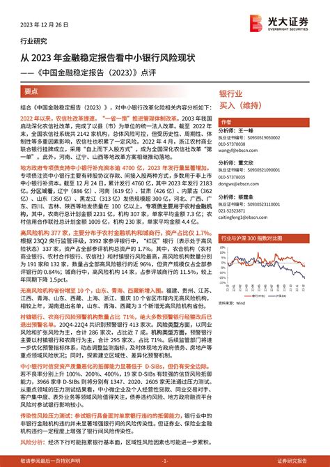 《中国金融稳定报告（2023）》点评：从2023年金融稳定报告看中小银行风险现状 洞见研报 行业报告