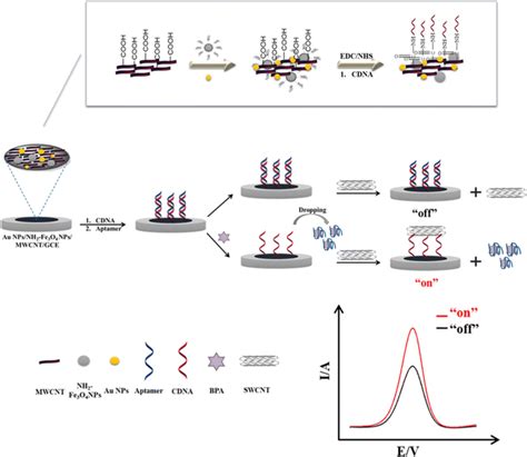 Schematic diagram of fabricating a “signal-on” sensing model | Download ...