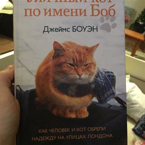 Книга Кот Боб – купить в Москве, цена 150 руб., продано 10 мая – Книги ...