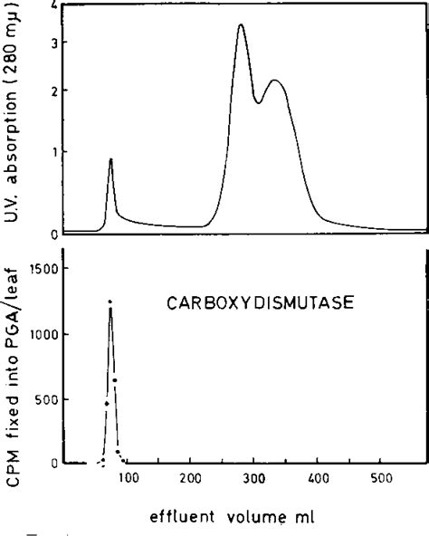 Figure 1 From The Formation Of Ribulose Diphosphate Carboxylase Protein