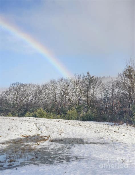 Misty Winter Rainbow Photograph By Alana Ranney Fine Art America