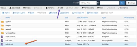 How To Use File Manager In CPanel