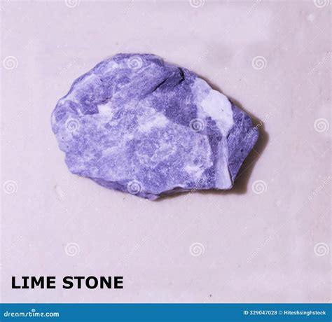 Isolated Sample Of A Lime Stone Rock On Texture Background Lime Stone