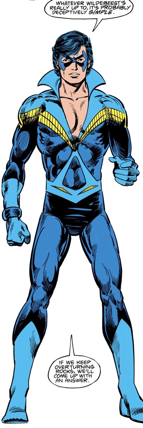 Nightwing Sexy Gay Porn Transportlalapa