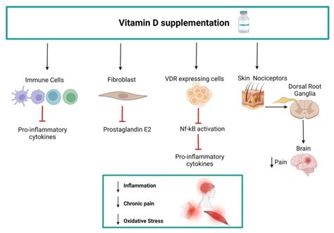 Nutrients Free Full Text The Efficacy Of Vitamin D Supplementation