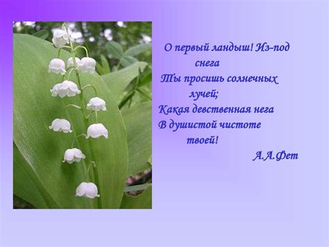 Праздник цветов - online presentation