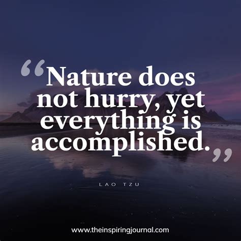 best patience quotes | The Inspiring Journal