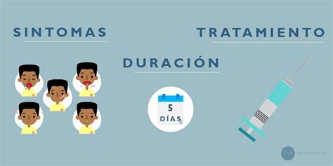 ¿conoces Todos Los Síntomas Duración Y Tratamiento De La Gripe