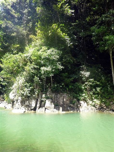 Shark River: Destination Trinidad and Tobago | Tours, Holidays