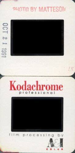 V Original Mm Slide Fine Art Nude Model Posing Risque Beauty S S Ebay