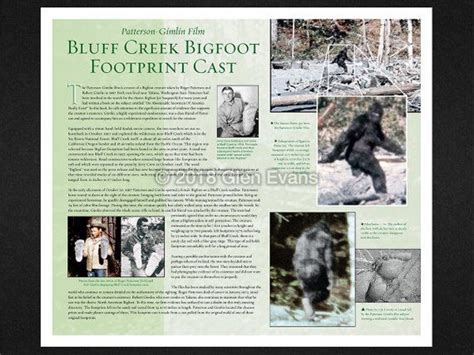 Bluff Creek Bigfoot Sasquatch Footprint Cast Poster Bluff Etsy