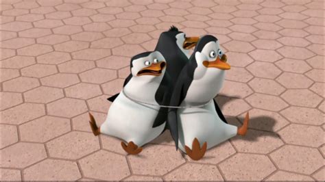 LOL Kowalski XD Penguins Of Madagascar Photo 24992742 Fanpop