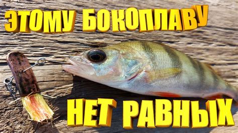 Снасть — ГОДА !!! Самодельная снасть о которой все хотят забыть. Если ...