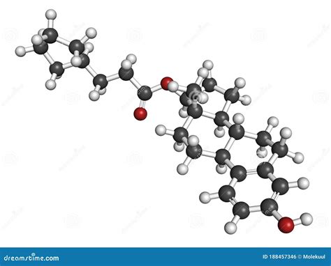 Estradiol Estrogen Female Sex Hormone Molecule Atoms Are Represented