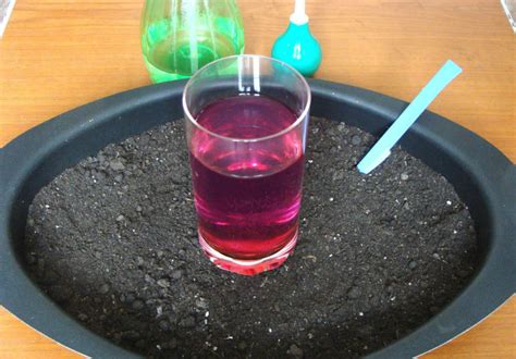 Лучшая Земля для Рассады в Домашних Условиях