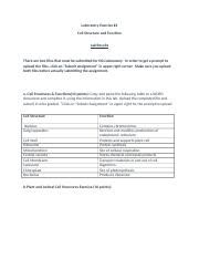 Lab#4 Cell Structure and Function.docx - Laboratory Exercise #4 Cell ...