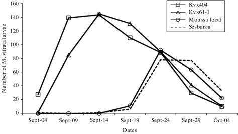 Maruca Vitrata Larval Infestation On Three Cowpea Varieties Kvx