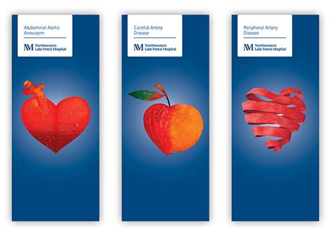 Cardiovascular Brochure Series On Behance