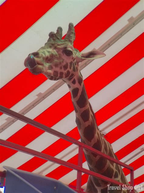 The Road Trip Continues to Delaware and the State Fair