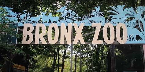 Bronx Zoo Online Animal Kingdom