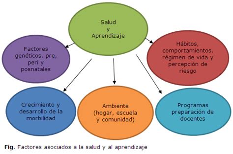 Alternativas De Manejo Ante El Riesgo En Salud Mental