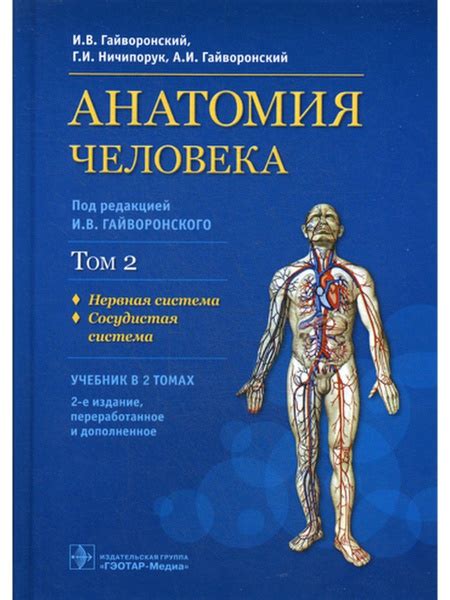 Гайворонский. АНАТОМИЯ ЧЕЛОВЕКА. Том 2. Нервная система. Сосудистая ...