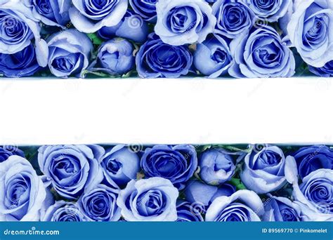 Blue Rose Corner Border
